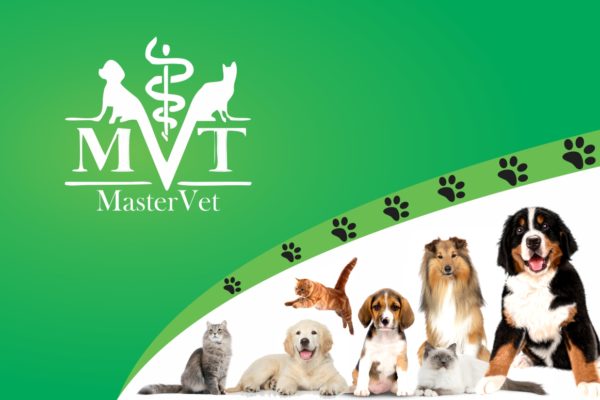 1a mforce publicidade e marketing mastervet