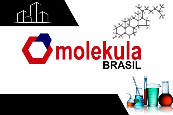 mforce publicidade e marketing molekula brasil